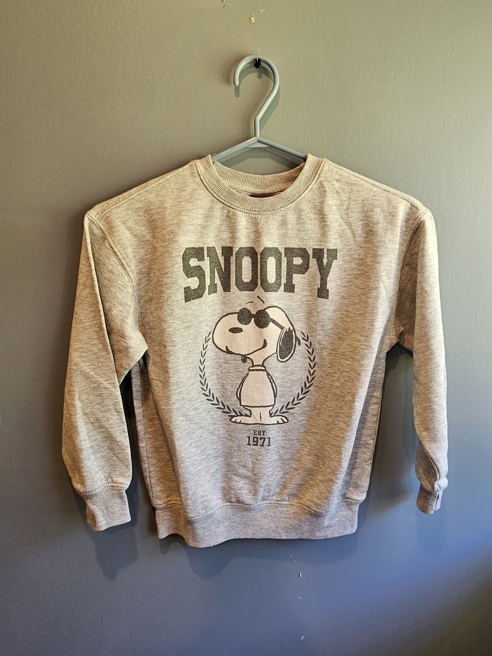 Peanuts Snoopy Crewneck Sweatshirt - Heather Gray